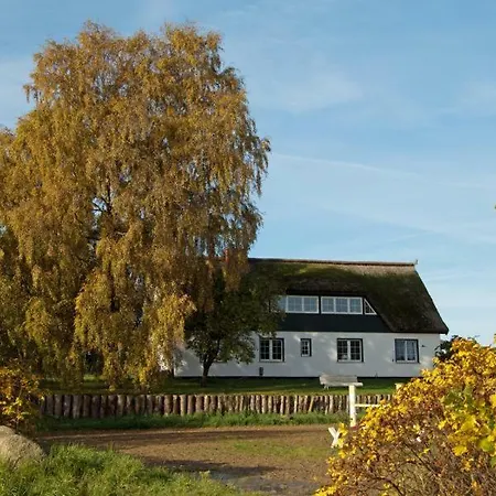 Hof Burtevitz *